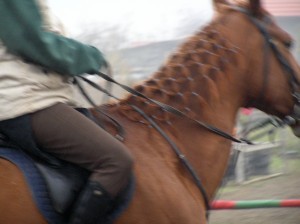 Rychlík.jpg
