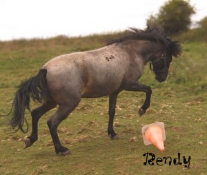 Rendy 2.jpg